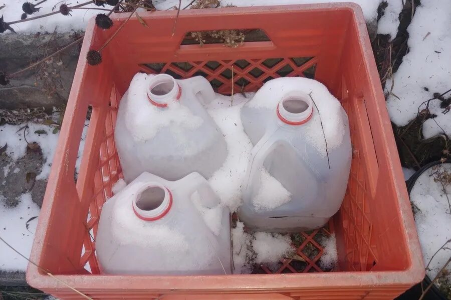 Starting Seeds in Winter milk jugs