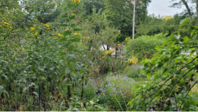 20250510permaculture 400x227